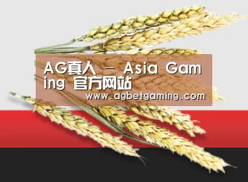 AG亚游 - AG真人娱乐平台 | AG亚游集团官方网站