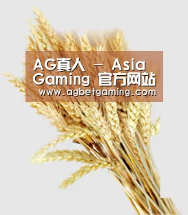 AG亚游 - AG真人娱乐平台 | AG亚游集团官方网站