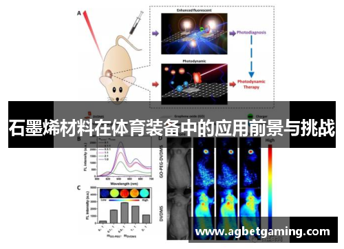石墨烯材料在体育装备中的应用前景与挑战